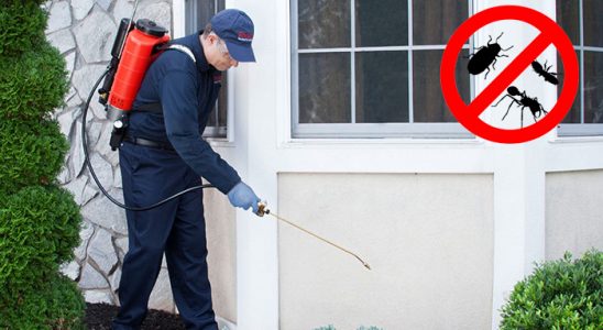 Altıeylül Kene İlaçlama böcek ilaçlama ve haşere kontrolü — ilaclama-tr.com